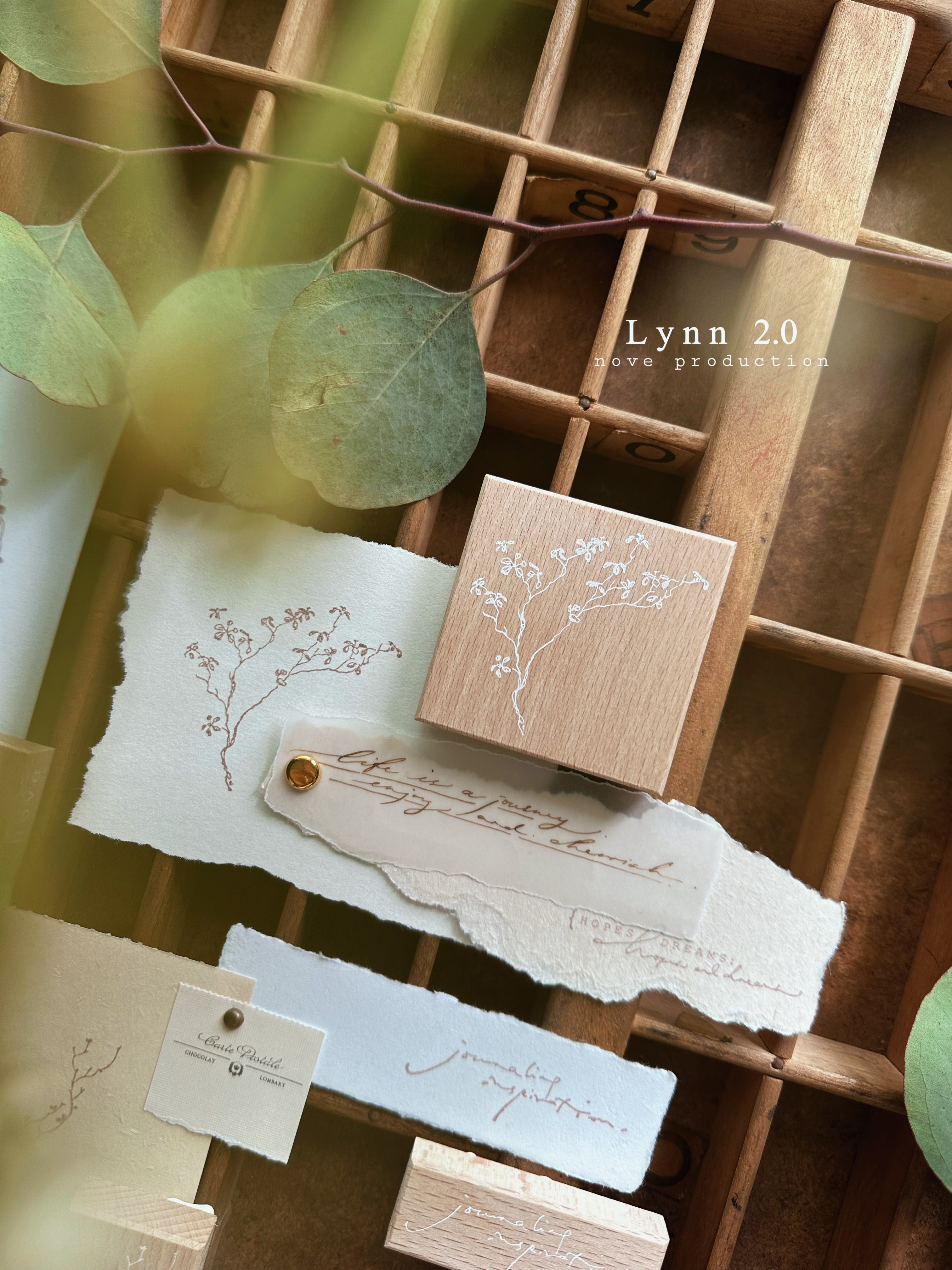 Nove Lynn 2.0 Rubber Stamp Collection (5 types)