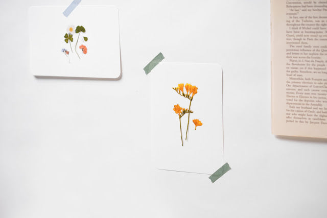 Appree Pressed Stickers- 002 Eucalyptus - Smidapaper Ikigai Shop