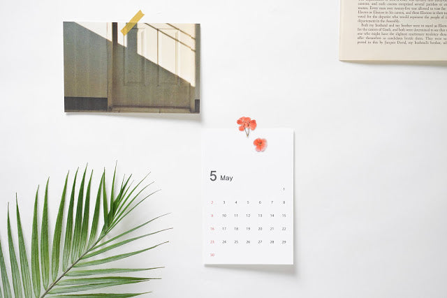 Appree Pressed Stickers- 009 Geranium - Smidapaper Ikigai Shop