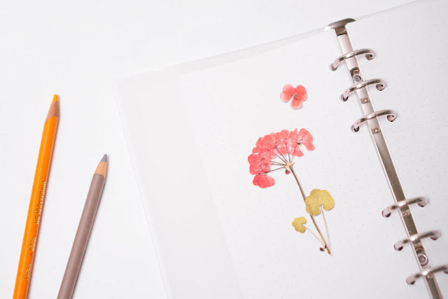 Appree Pressed Stickers- 009 Geranium - Smidapaper Ikigai Shop