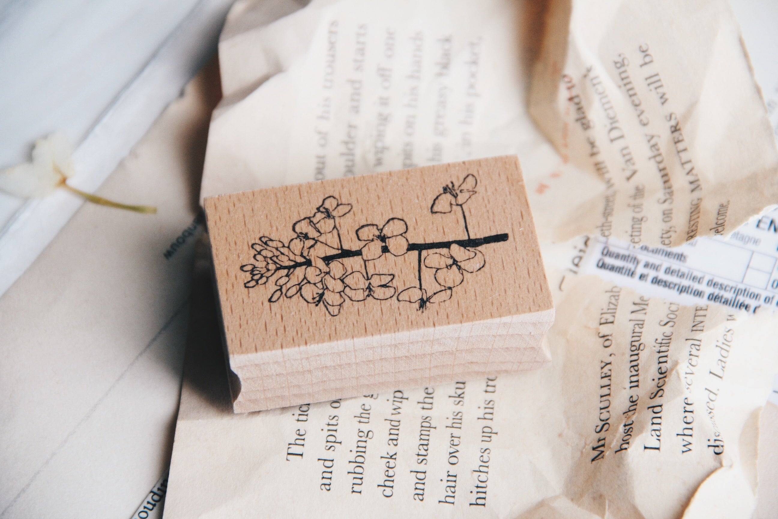 Stempel Jazz Rapeseed Blossom Rubber Stamp - Smidapaper Ikigai Shop