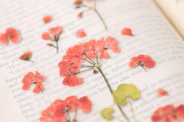 Appree Pressed Stickers- 009 Geranium - Smidapaper Ikigai Shop