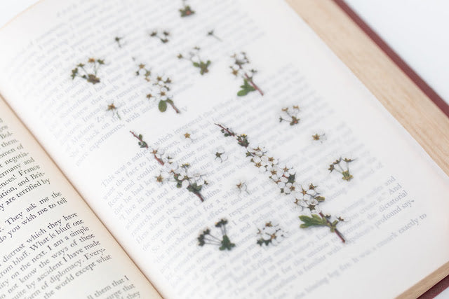 Appree Pressed Stickers- 010 Bridal Wreath - Smidapaper Ikigai Shop