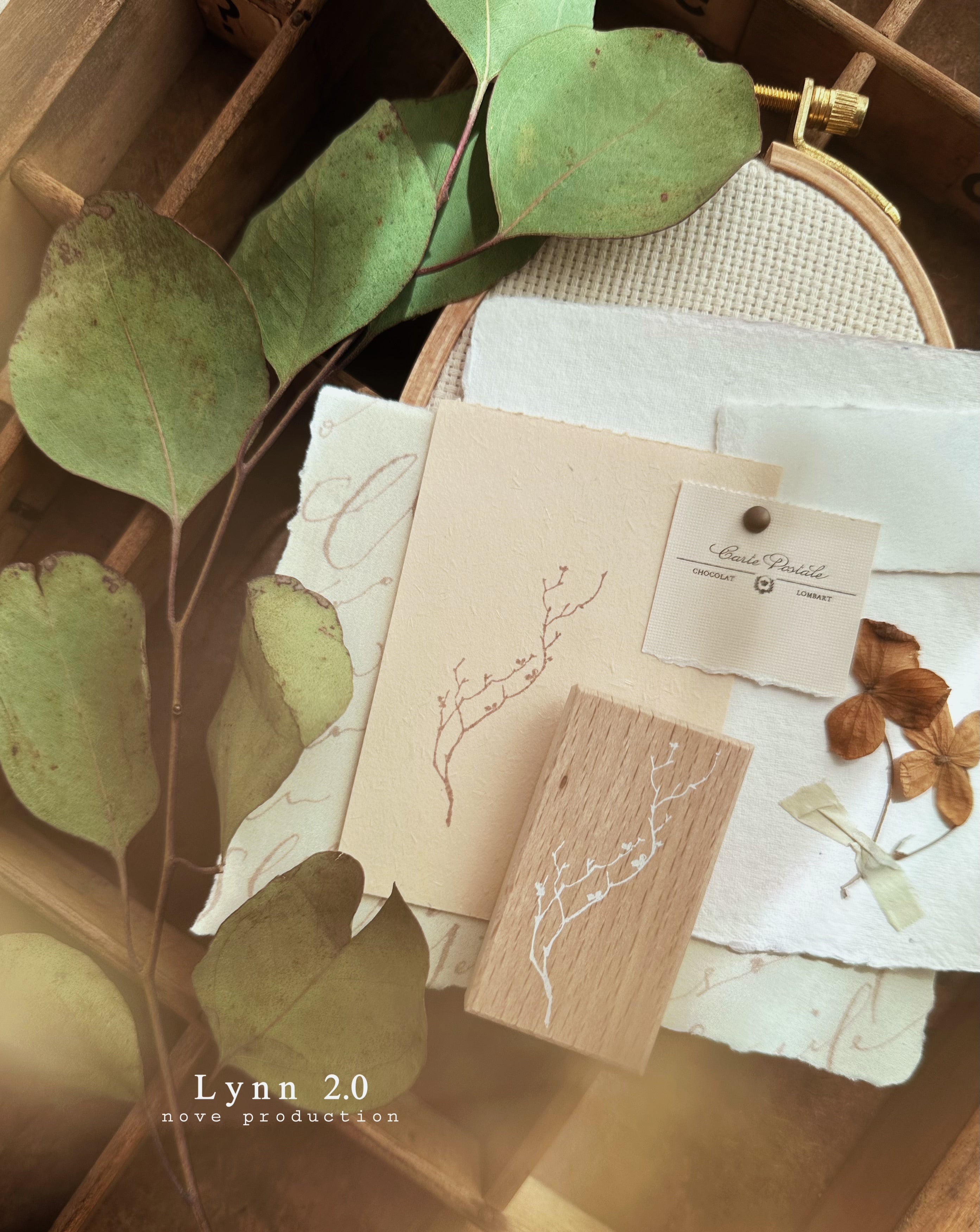 Nove Lynn 2.0 Rubber Stamp Collection (5 types)