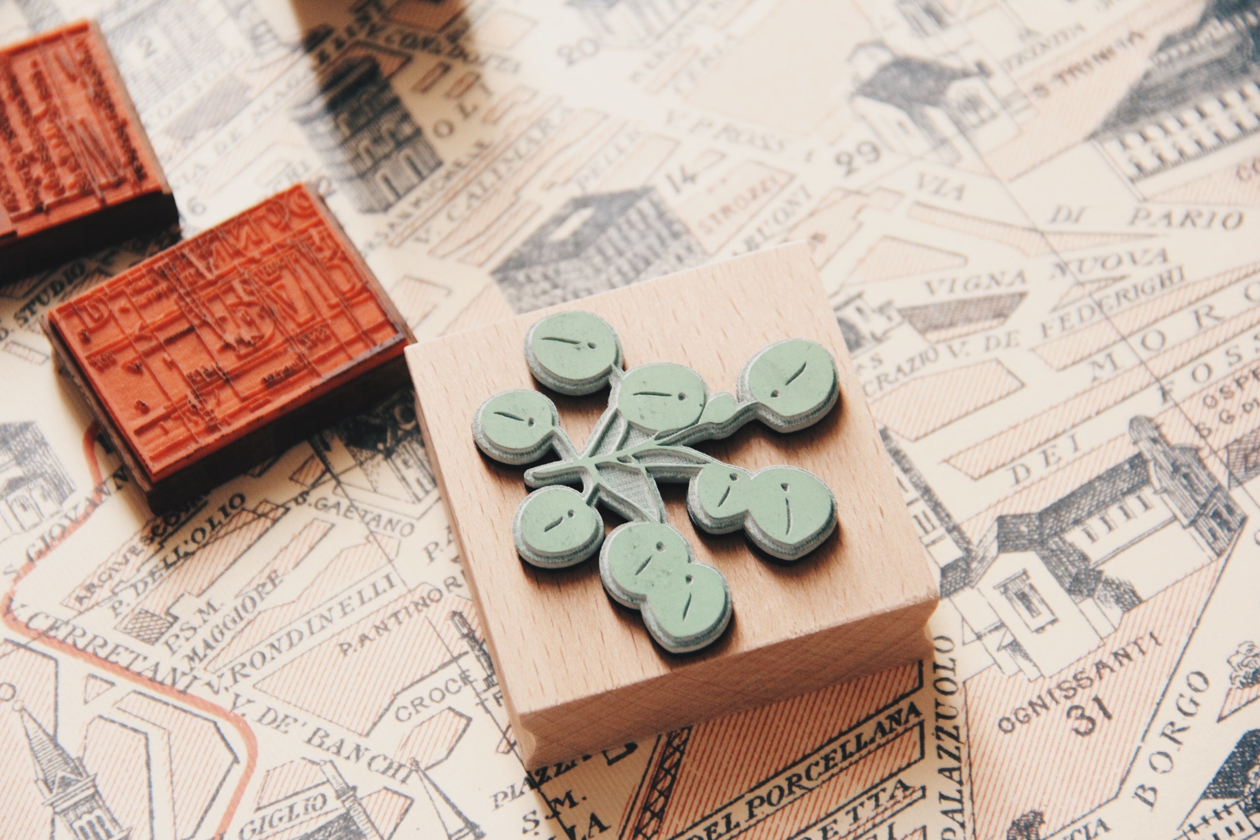 Stempel Jazz Money Plant Rubber Stamp - Smidapaper Ikigai Shop