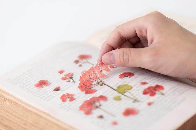 Appree Pressed Stickers- 009 Geranium - Smidapaper Ikigai Shop