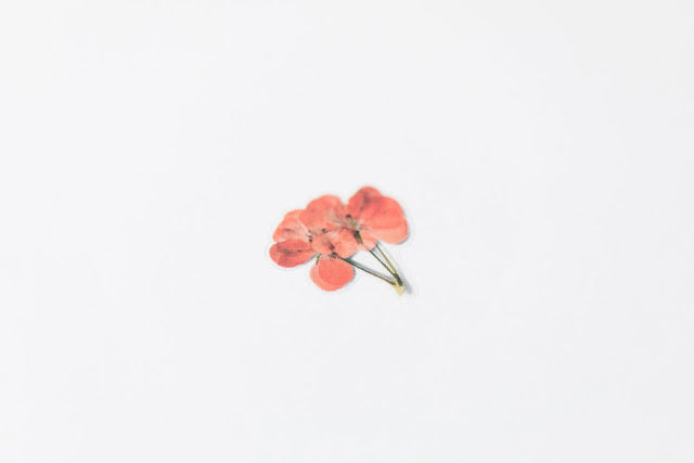 Appree Pressed Stickers- 009 Geranium - Smidapaper Ikigai Shop