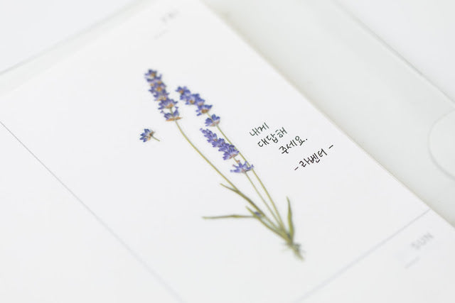 Appree Pressed Stickers- 008 Lavender - Smidapaper Ikigai Shop