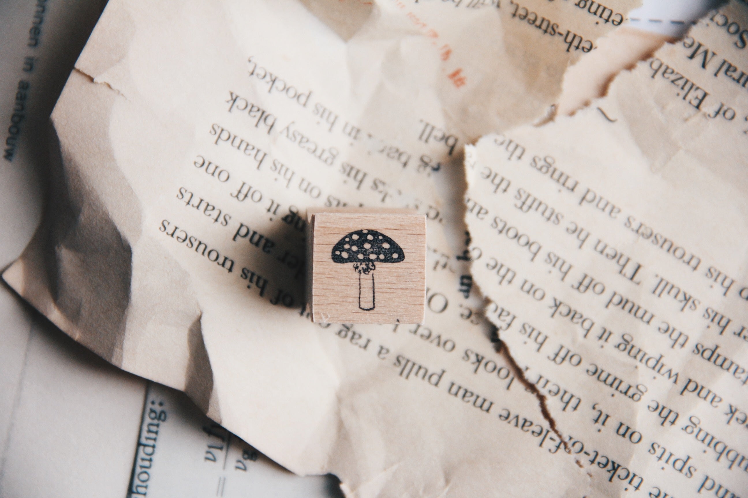 Stempel Jazz Mini Toadstool Rubber Stamp - Smidapaper Ikigai Shop