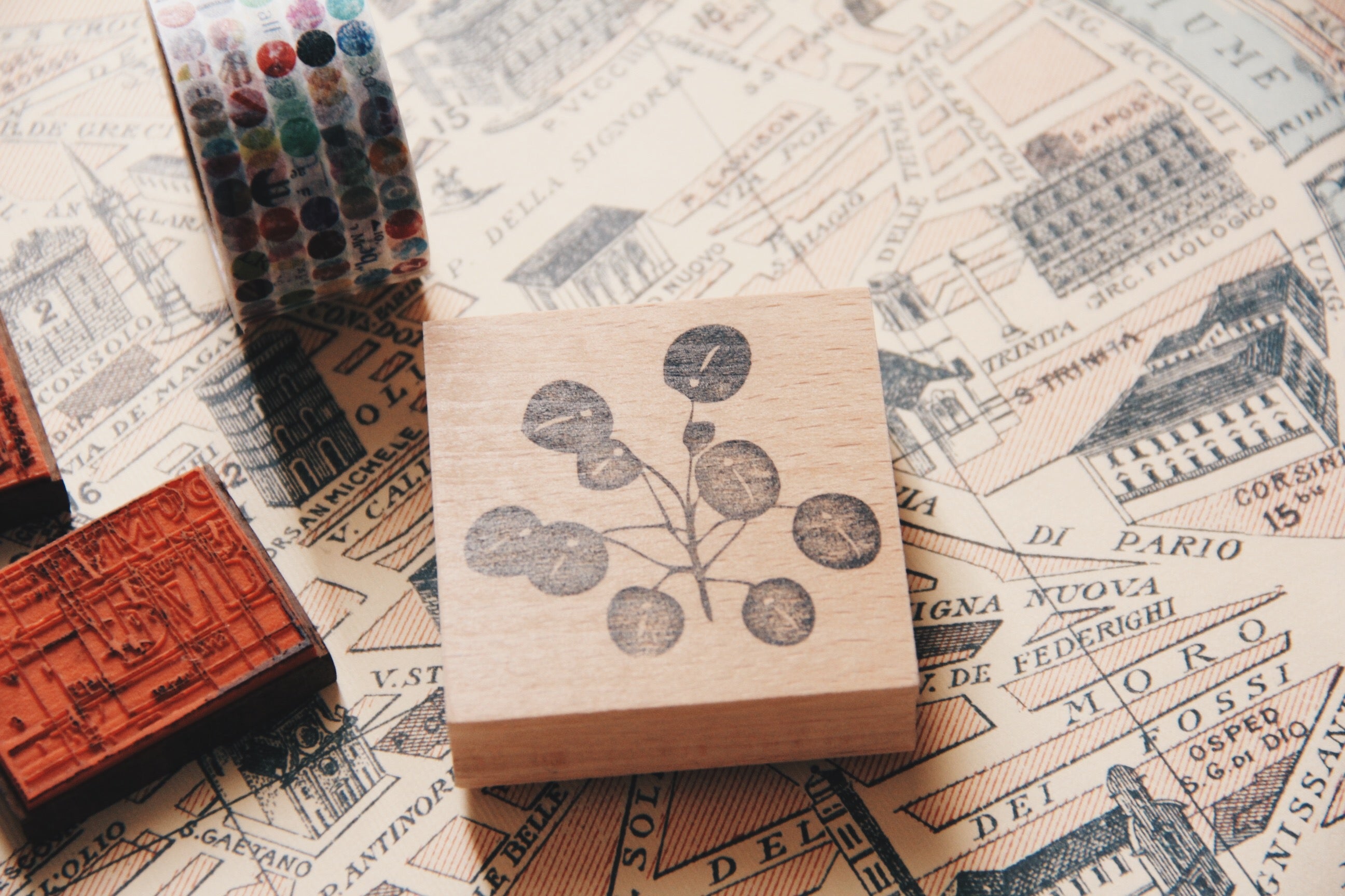 Stempel Jazz Money Plant Rubber Stamp - Smidapaper Ikigai Shop