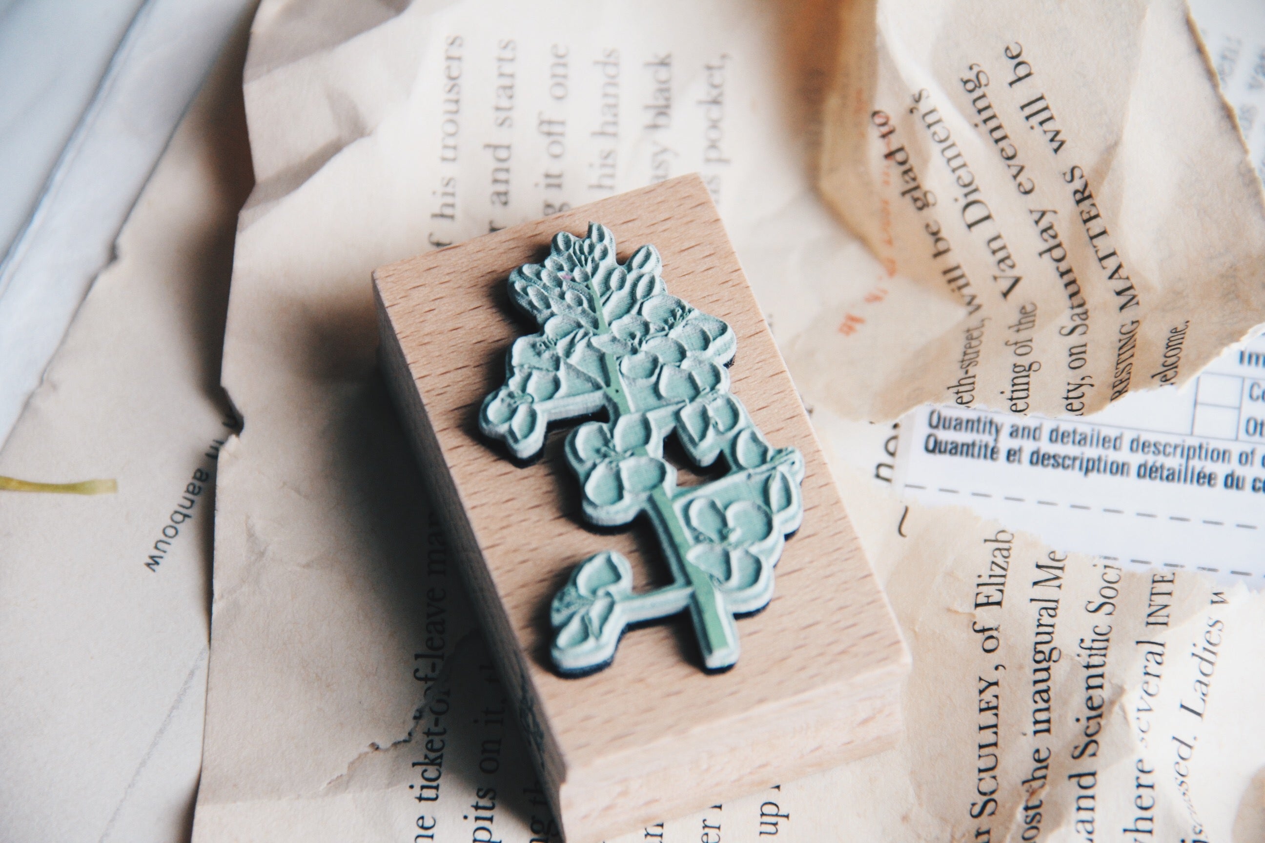Stempel Jazz Rapeseed Blossom Rubber Stamp - Smidapaper Ikigai Shop