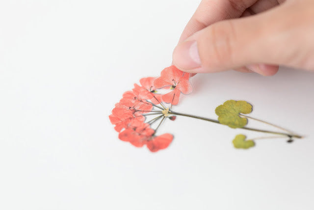 Appree Pressed Stickers- 009 Geranium - Smidapaper Ikigai Shop