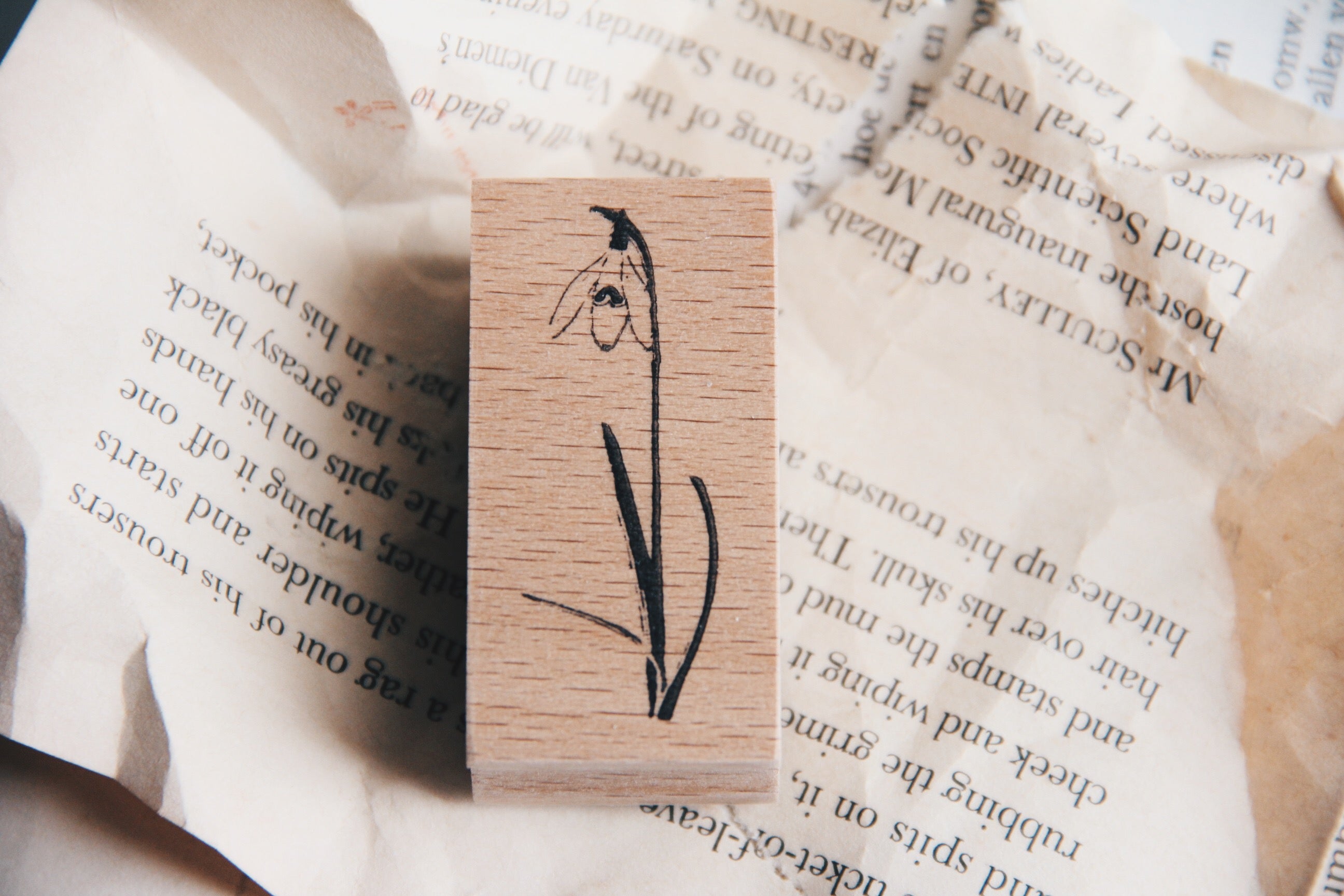Stempel Jazz Snowdrop Rubber Stamp - Smidapaper Ikigai Shop