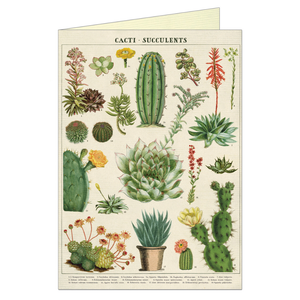 Cavallini & Co. - Cacti & Succulents Single Greeting Card - Smidapaper Ikigai Shop