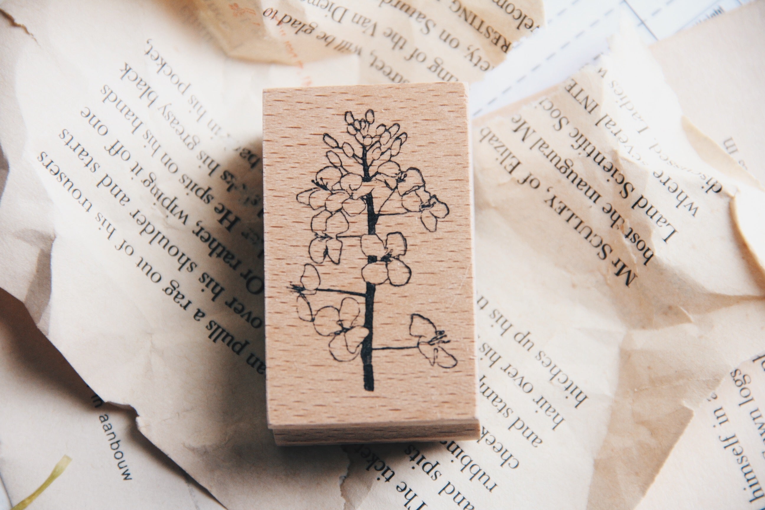 Stempel Jazz Rapeseed Blossom Rubber Stamp - Smidapaper Ikigai Shop
