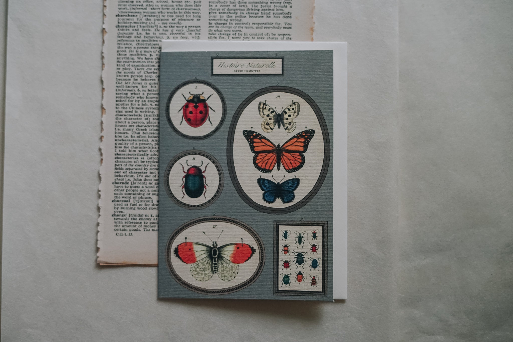 Cavallini & Co. - Natural History Insects Single Greeting Card - Smidapaper Ikigai Shop
