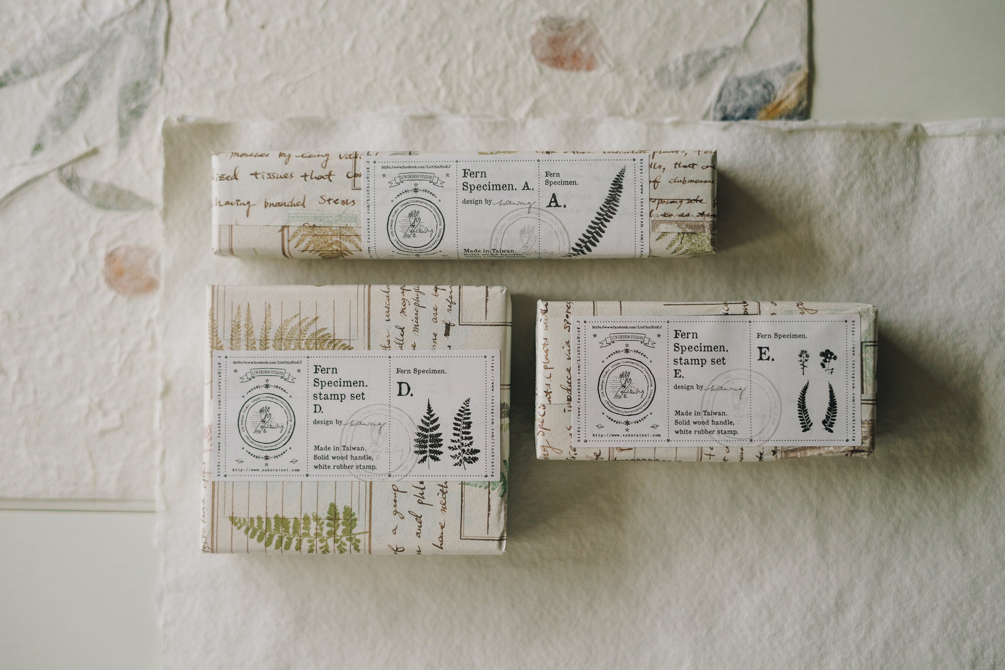 LCN Stamp: Fern Specimen (A, D, E) - Smidapaper Ikigai Shop