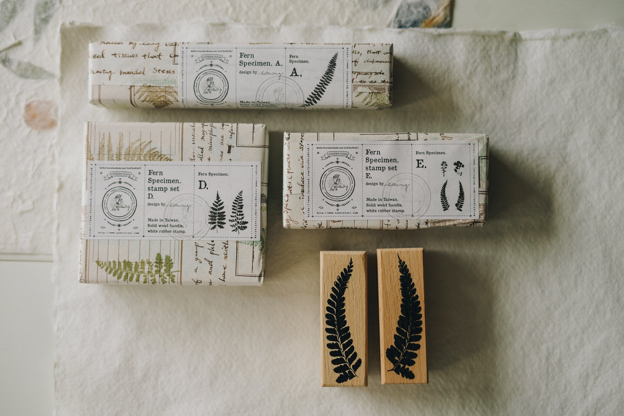 LCN Stamp: Fern Specimen (A, D, E) - Smidapaper Ikigai Shop