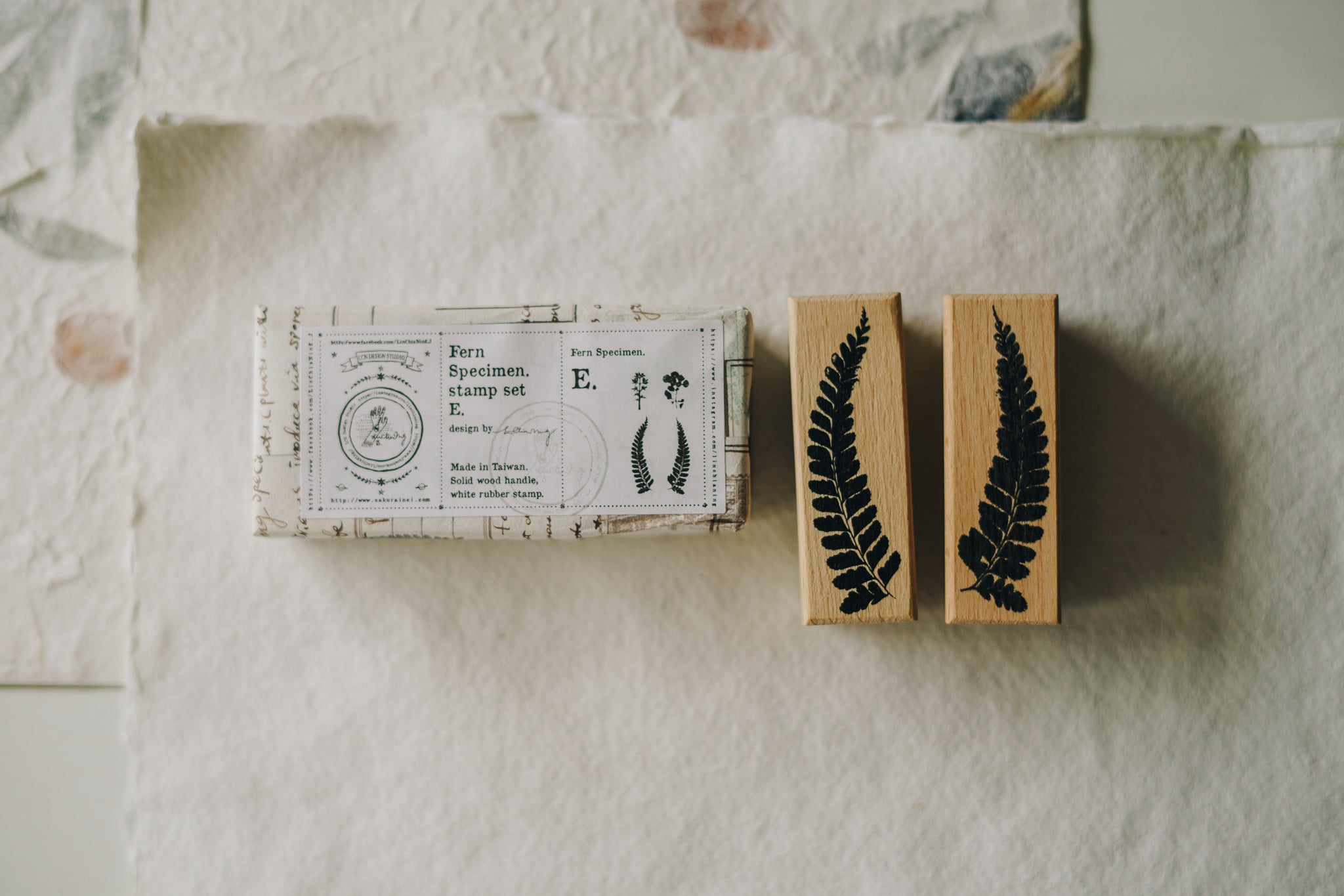 LCN Stamp: Fern Specimen (A, D, E) - Smidapaper Ikigai Shop