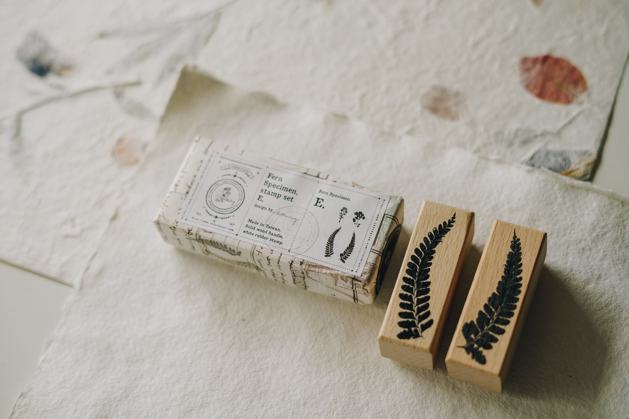 LCN Stamp: Fern Specimen (A, D, E) - Smidapaper Ikigai Shop
