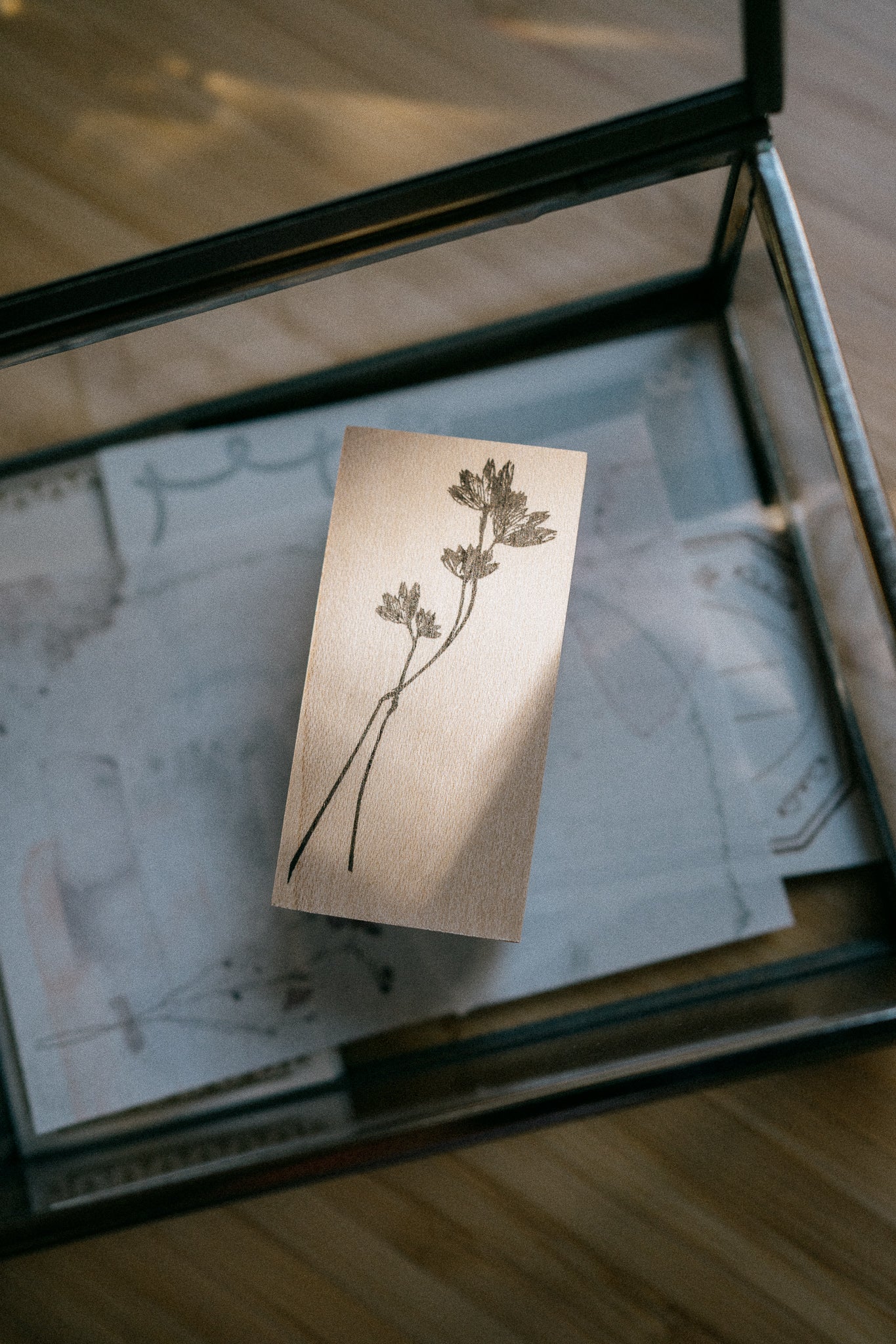 Tutty Design Rubber Stamp: Astralantia