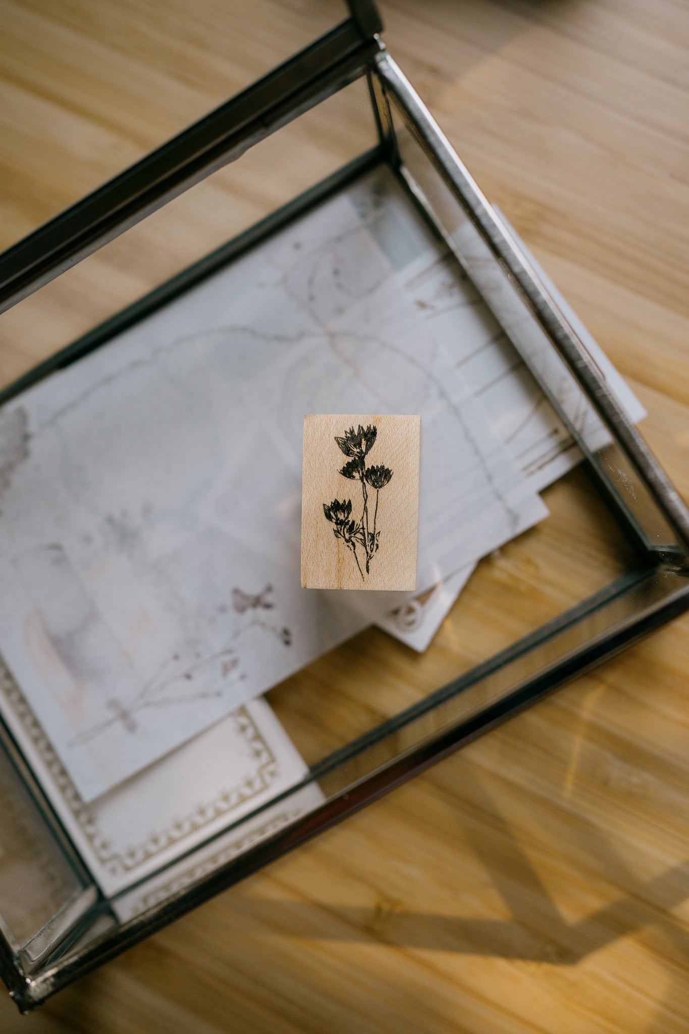 Tutty Design Rubber Stamp: Astralantia Petit