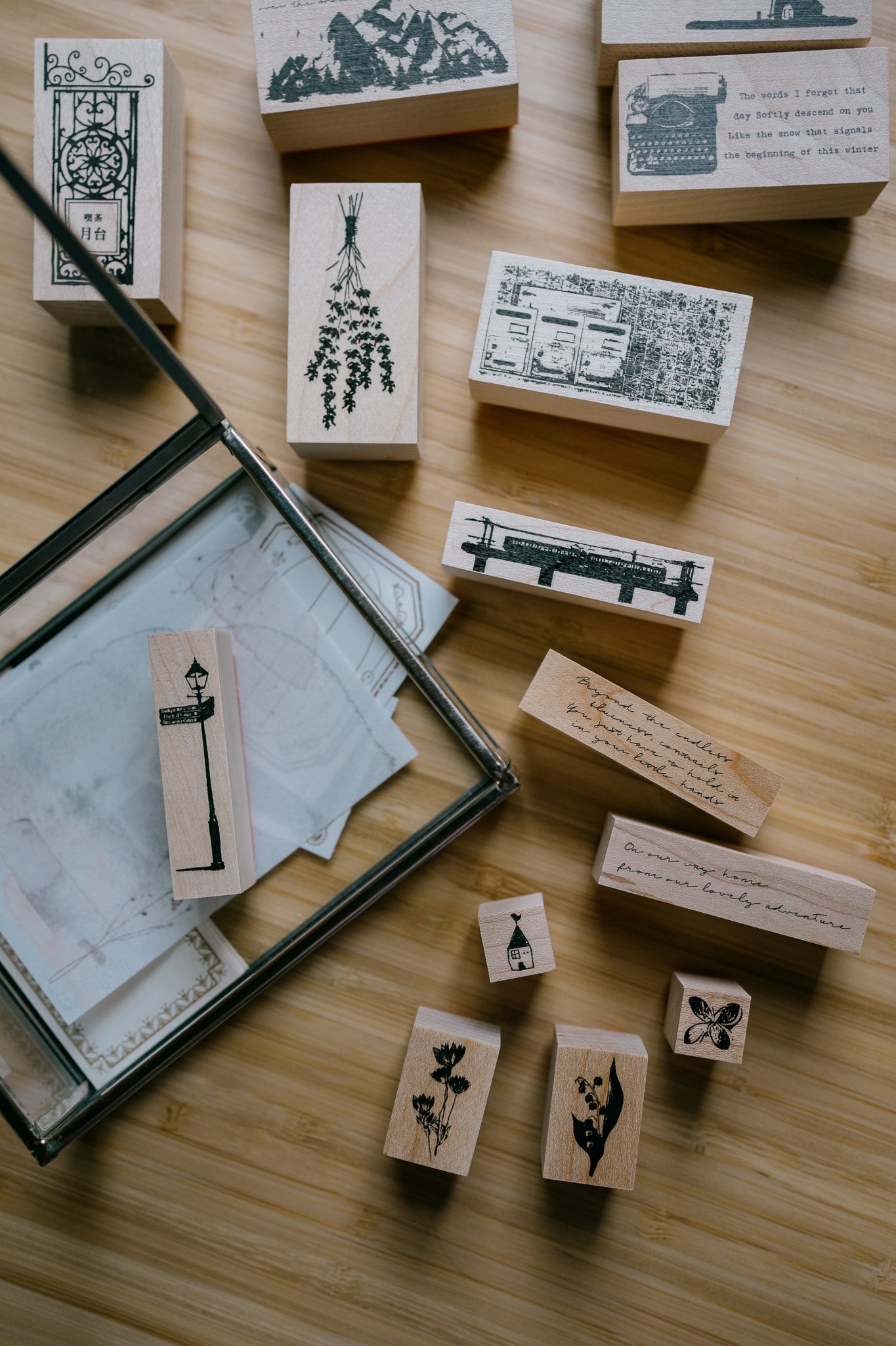 Tutty Design Rubber Stamp: Astralantia