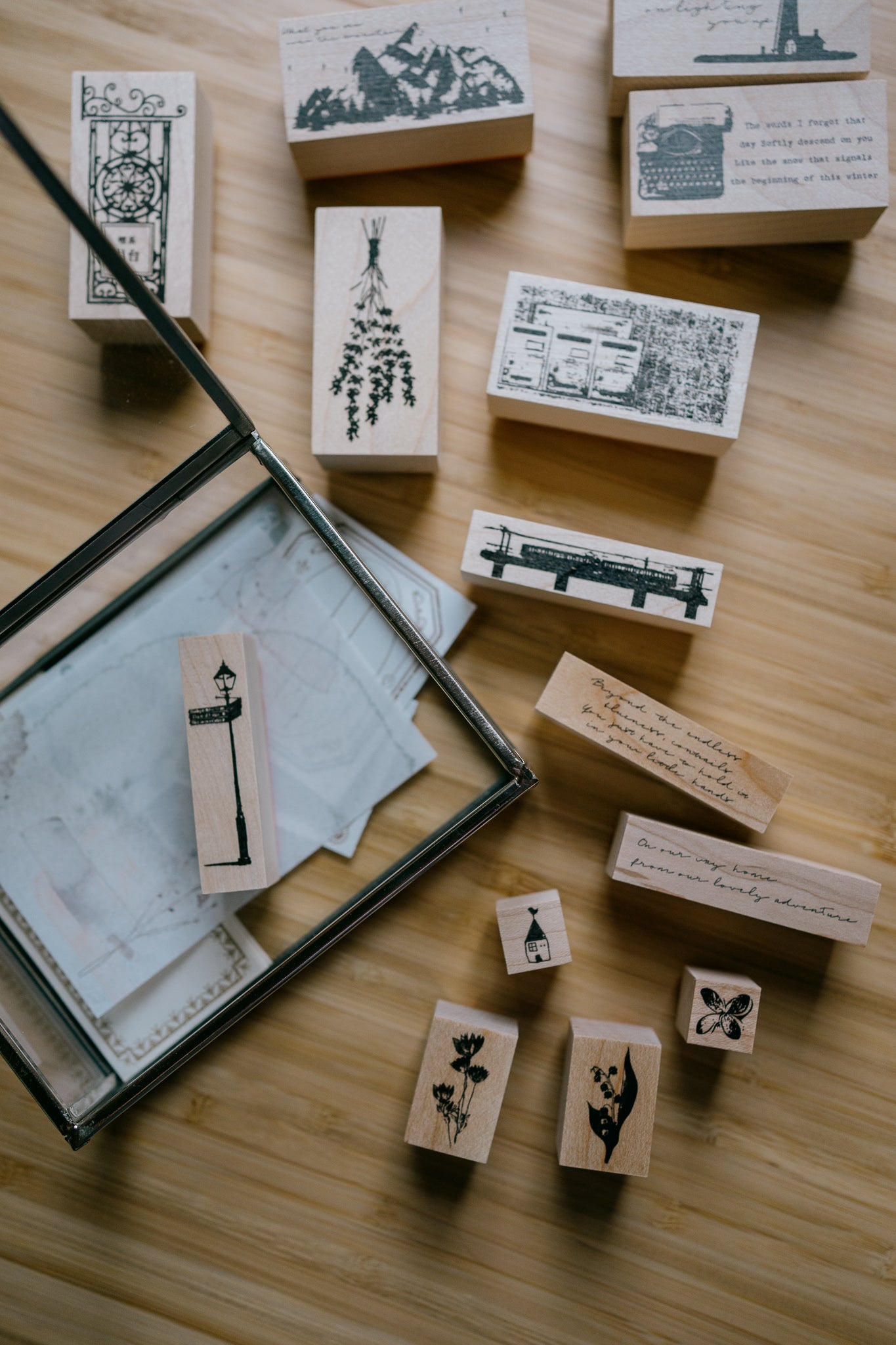 Tutty Design Rubber Stamp: Chocolate Cosmos