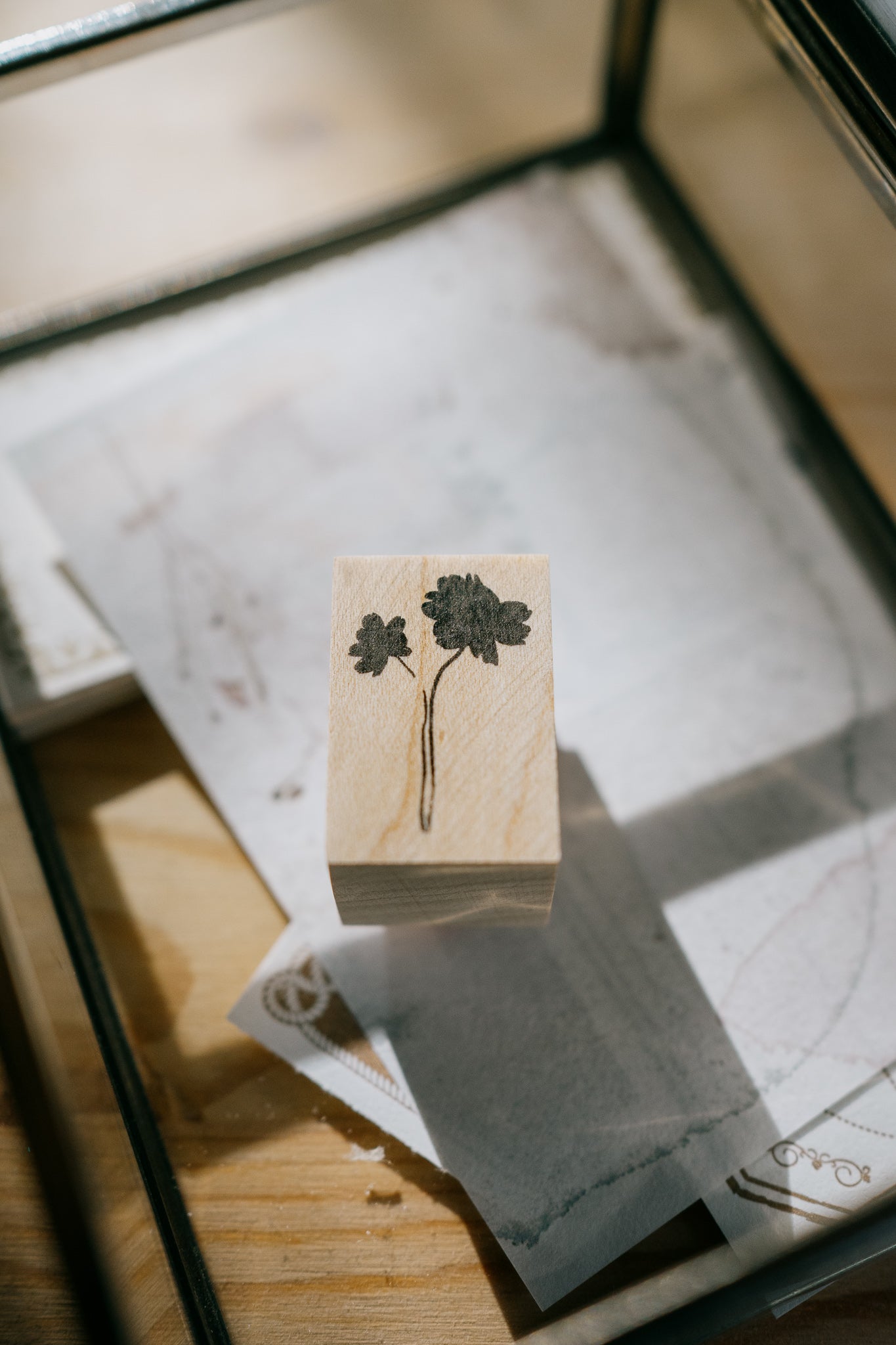 Tutty Design Rubber Stamp: Chocolate Cosmos