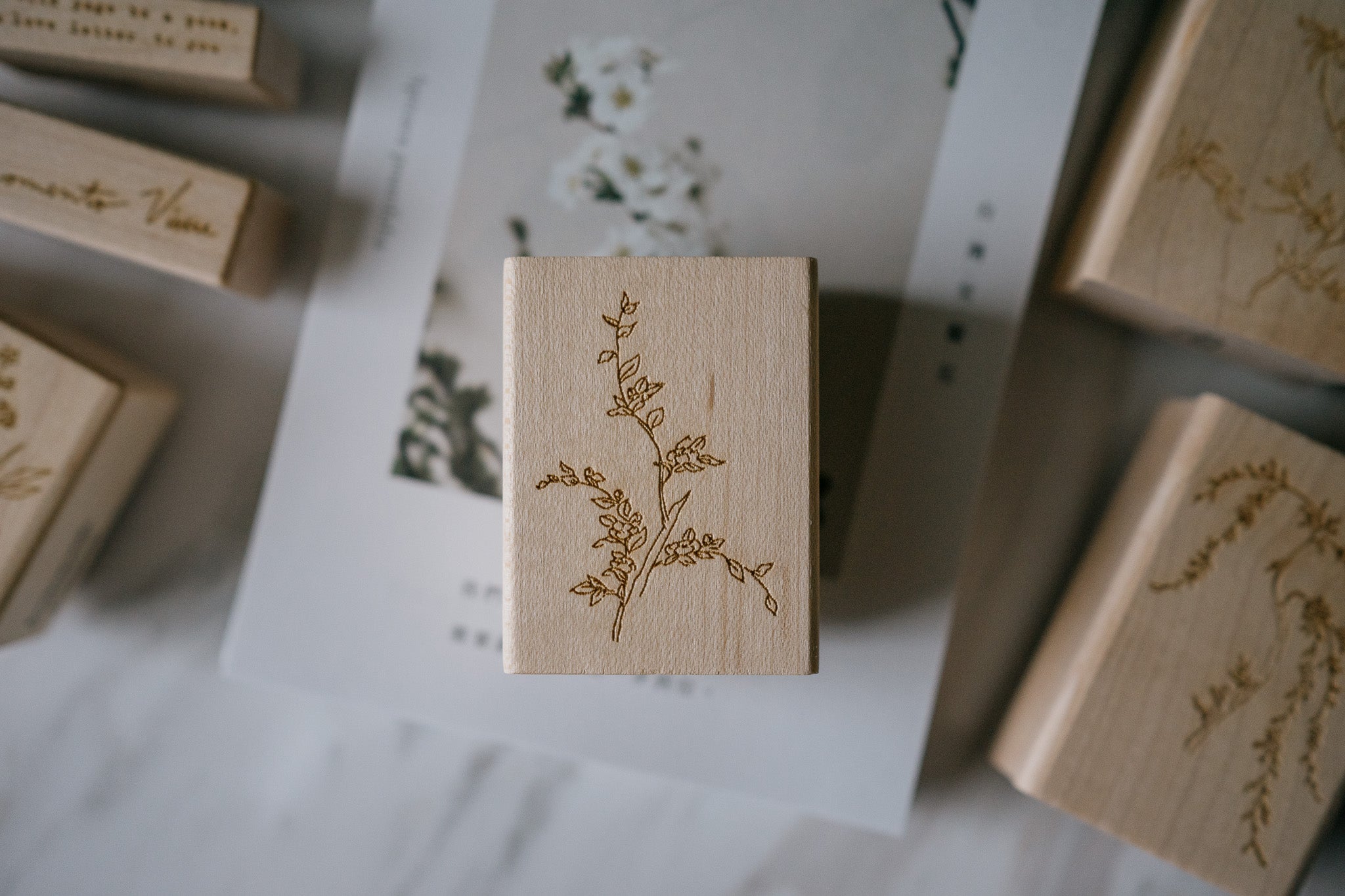 Jesslynn Padilla: Rose of Sharon Rubber Stamp