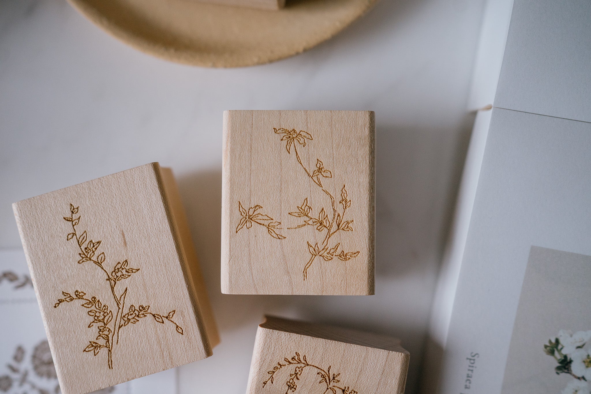 Jesslynn Padilla: Rose of Sharon Rubber Stamp