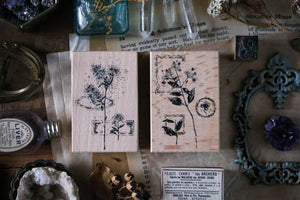 Dried Flower Stamp Set C - Smidapaper Ikigai Shop