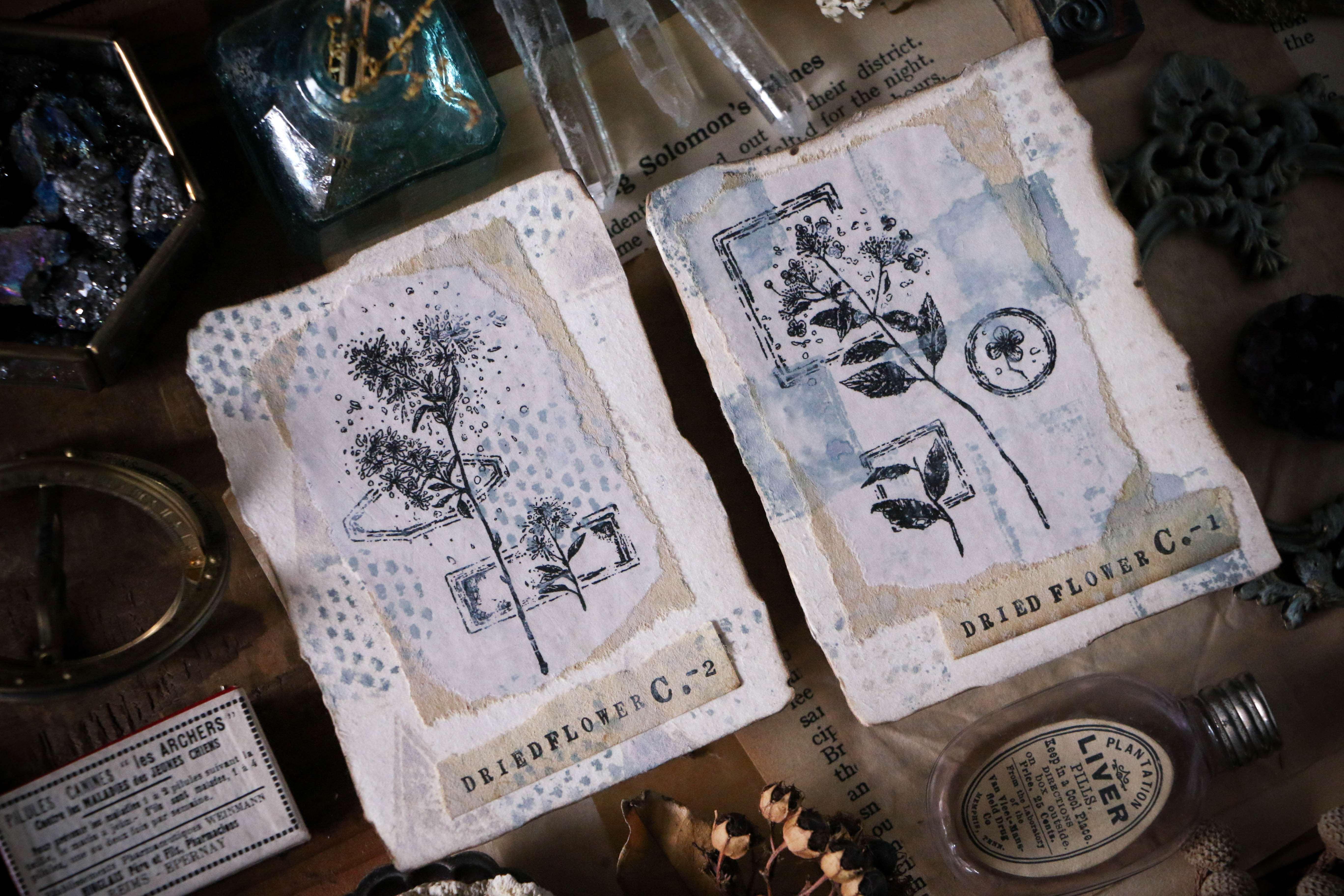 Dried Flower Stamp Set C - Smidapaper Ikigai Shop