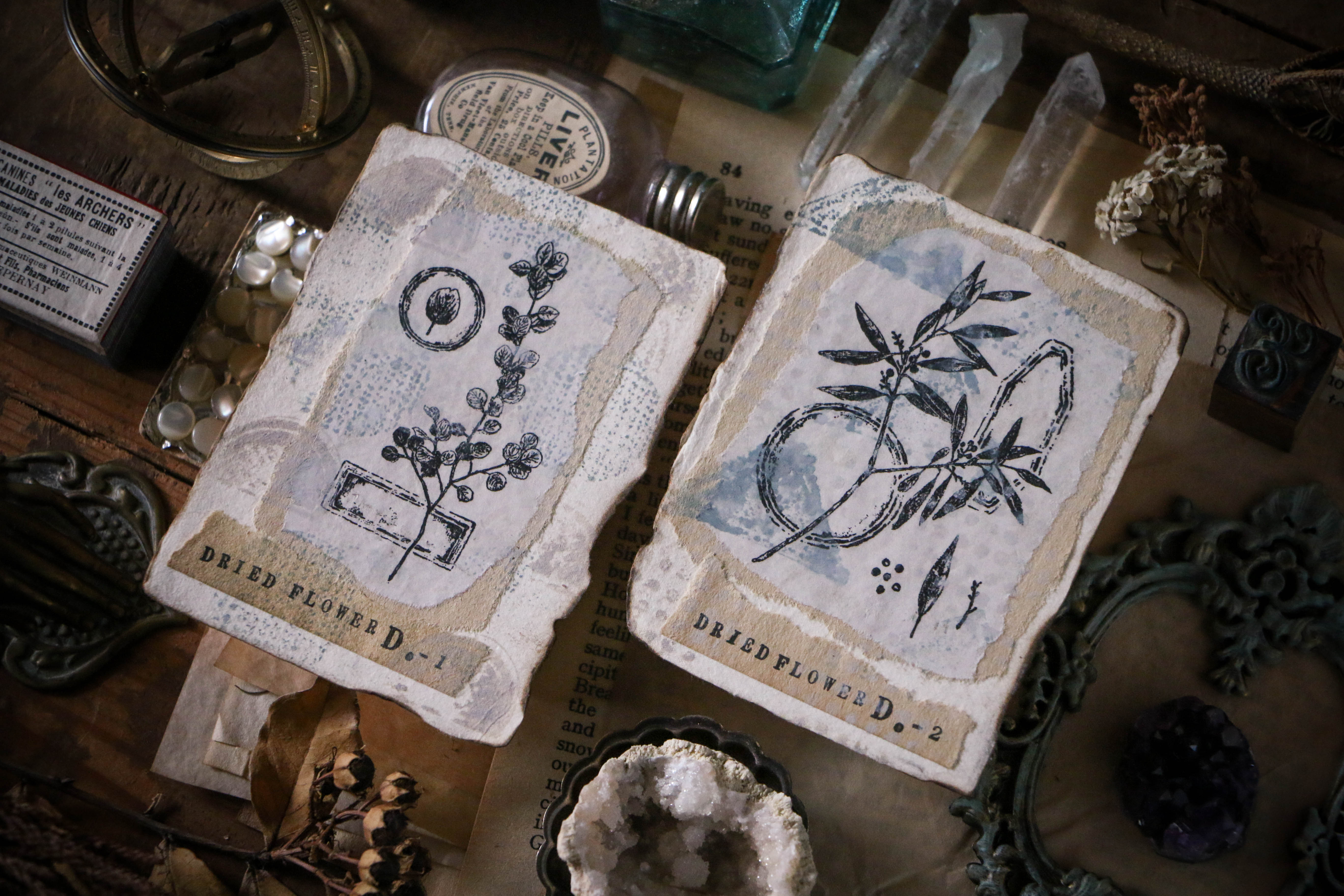 Dried Flower Stamp Set D - Smidapaper Ikigai Shop