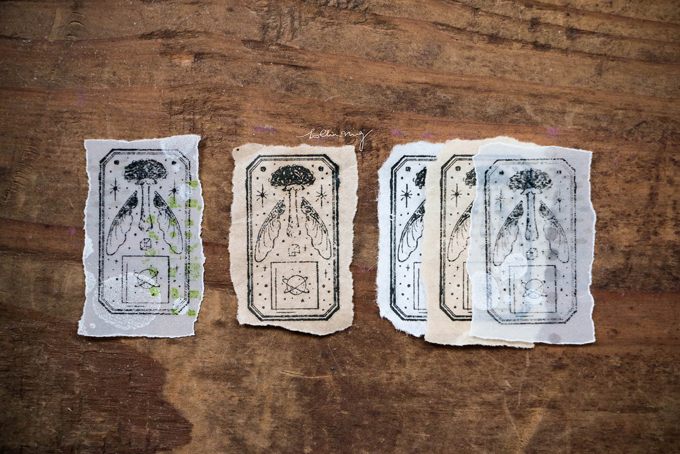New Stars: Fungi Metal Stamp - Smidapaper Ikigai Shop