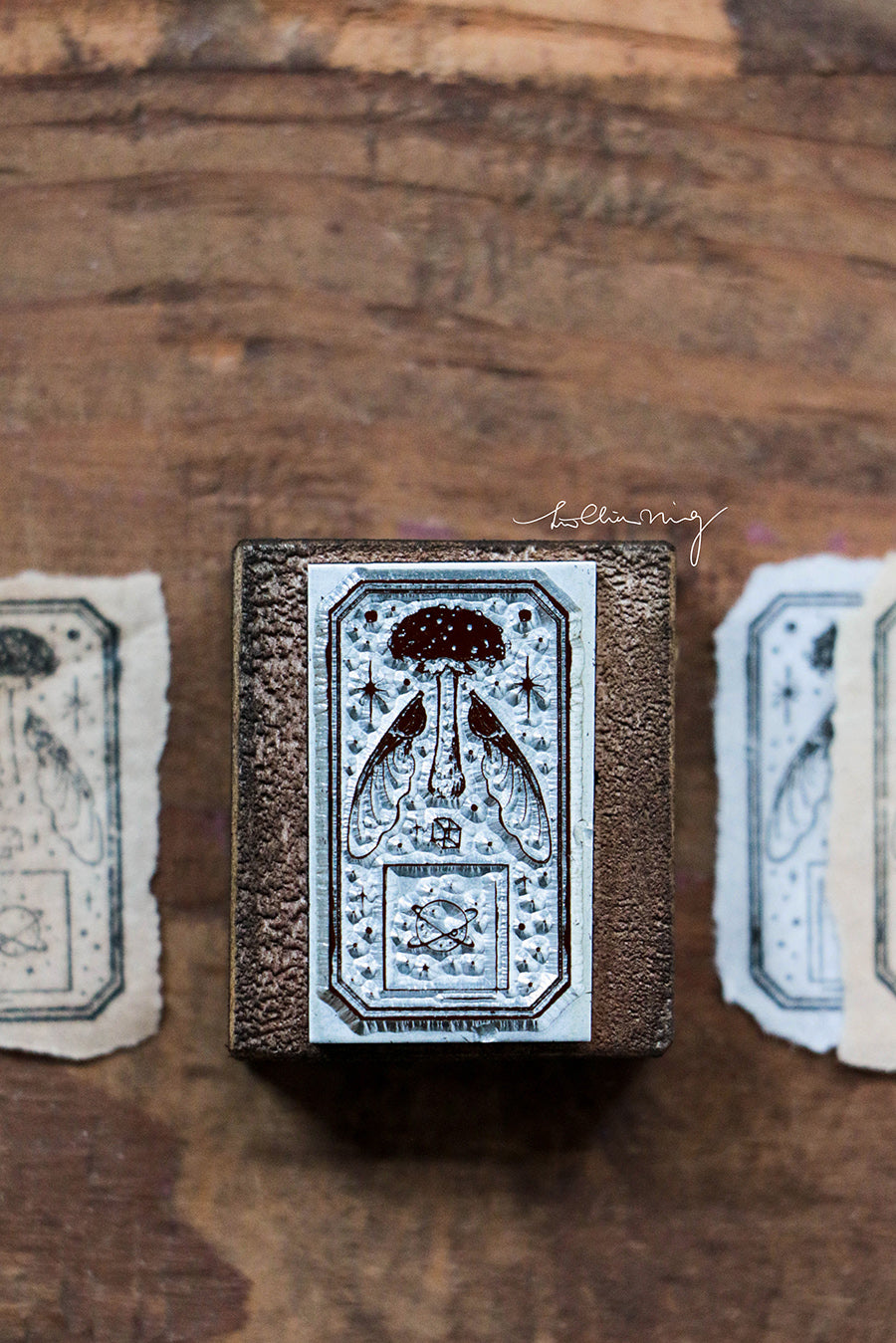 New Stars: Fungi Metal Stamp - Smidapaper Ikigai Shop