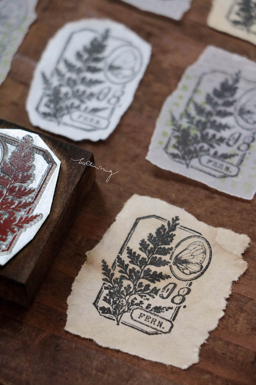Fern Specimen No. 8 Metal Stamp - Smidapaper Ikigai Shop