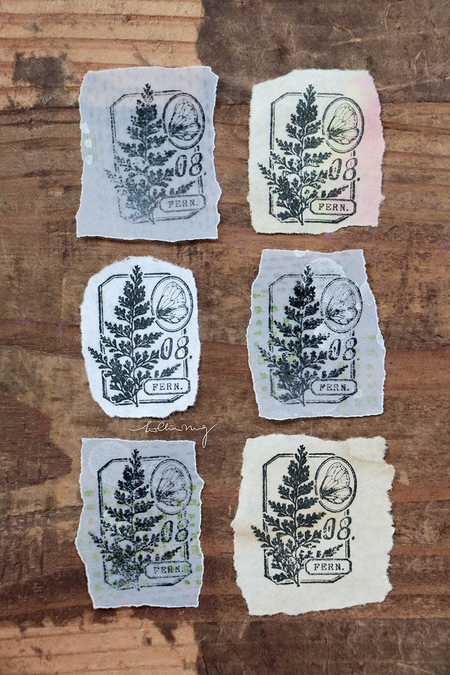 Fern Specimen No. 8 Metal Stamp - Smidapaper Ikigai Shop