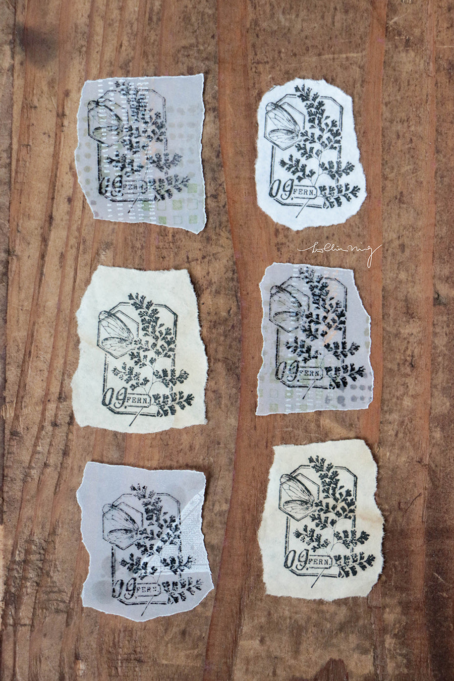 Fern Specimen No. 9 Metal Stamp - Smidapaper Ikigai Shop