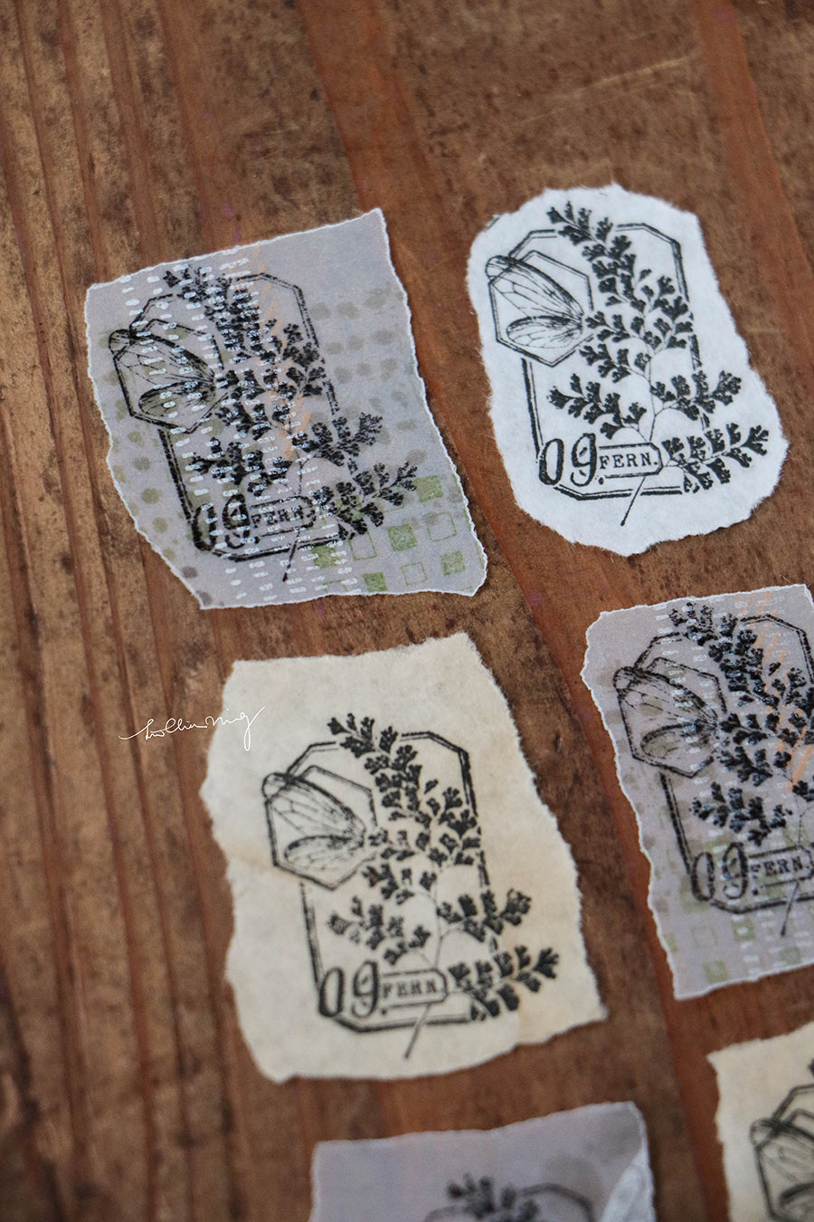 Fern Specimen No. 9 Metal Stamp - Smidapaper Ikigai Shop