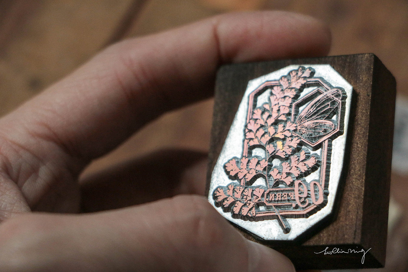 Fern Specimen No. 9 Metal Stamp - Smidapaper Ikigai Shop