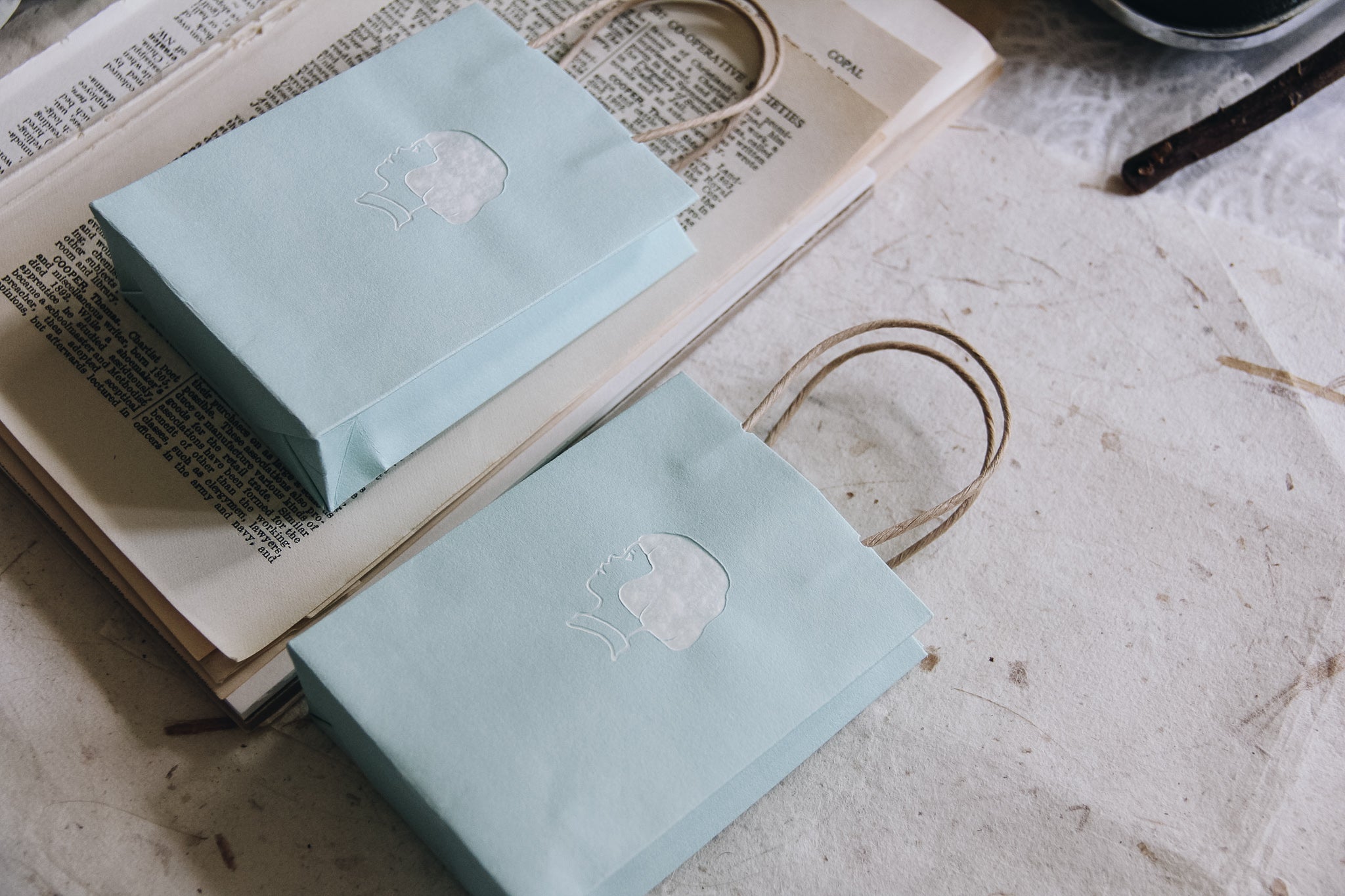 Masco Eri Teal Gift Bag (pack of 2) - Smidapaper Ikigai Shop