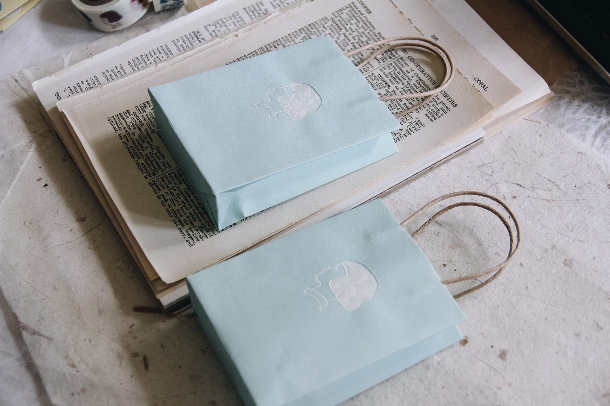 Masco Eri Teal Gift Bag (pack of 2) - Smidapaper Ikigai Shop