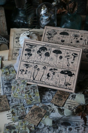 Fungus Notecard Rubber Stamp I - Smidapaper Ikigai Shop