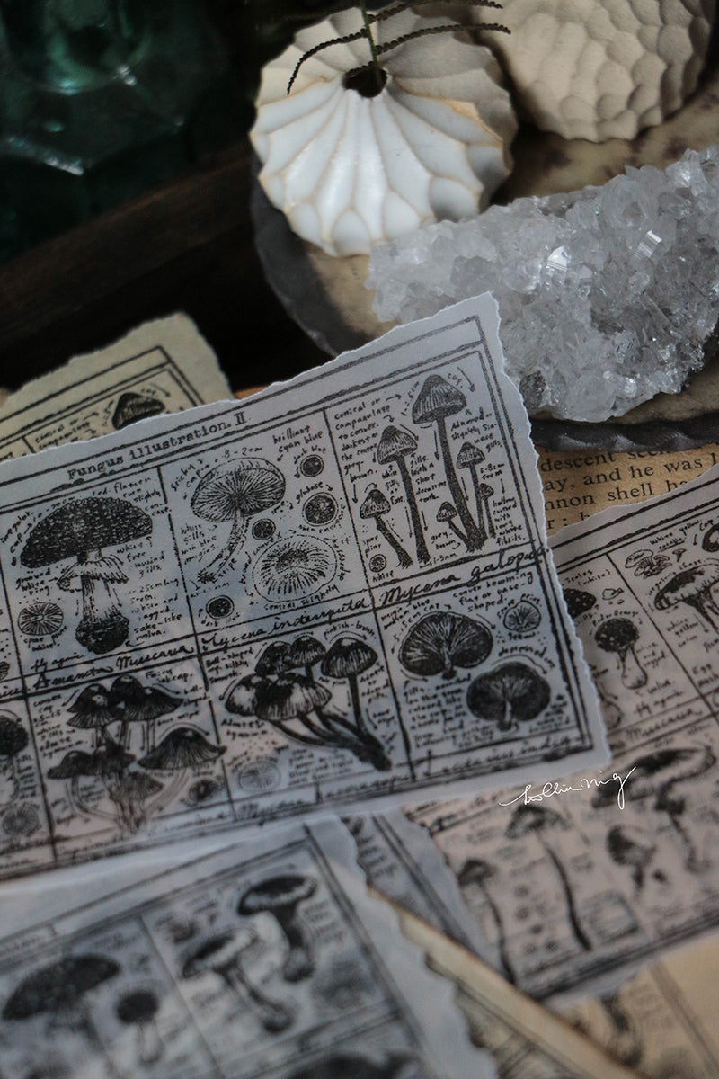 Fungus Notecard Rubber Stamp II - Smidapaper Ikigai Shop