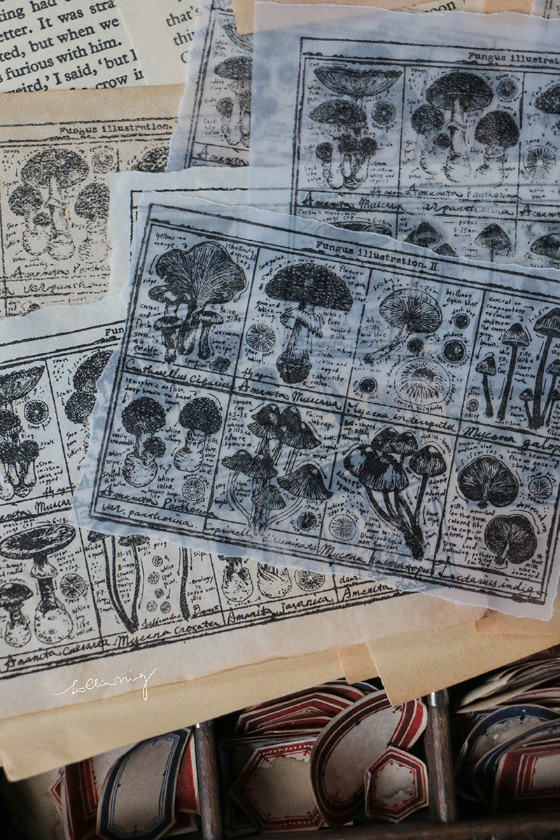Fungus Notecard Rubber Stamp I - Smidapaper Ikigai Shop