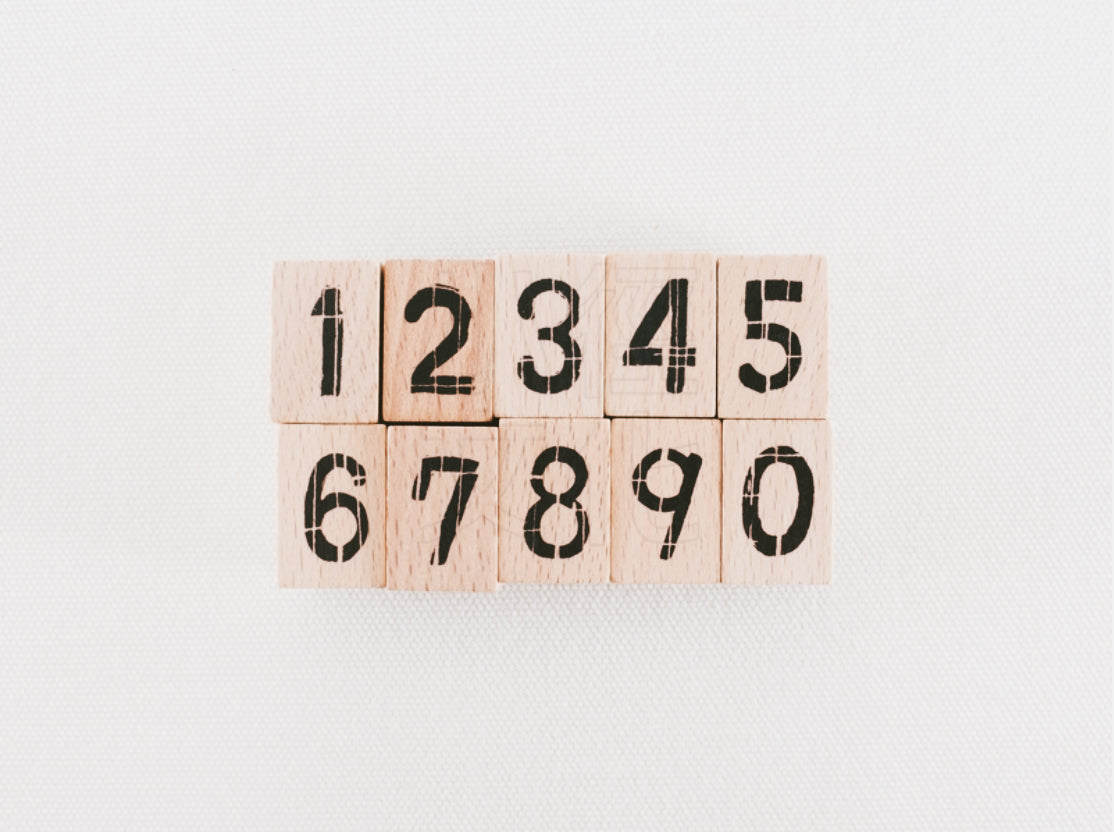 Chamil Garden Number Rubber Stamp- The Only Child: Only Son (MTS-CH390) - Smidapaper Ikigai Shop