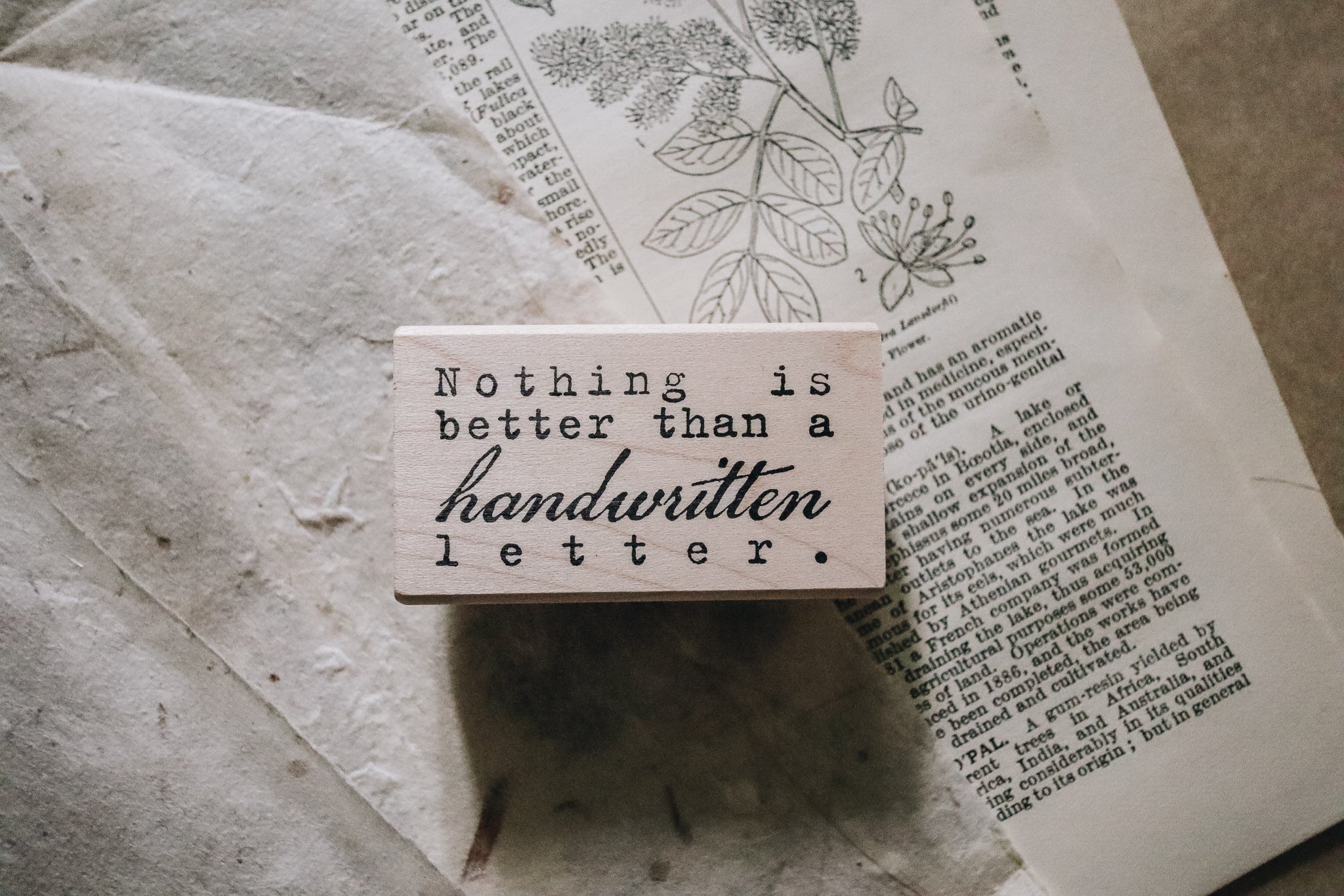 Catslife Press Nothing is Better Rubber Stamp - Smidapaper Ikigai Shop