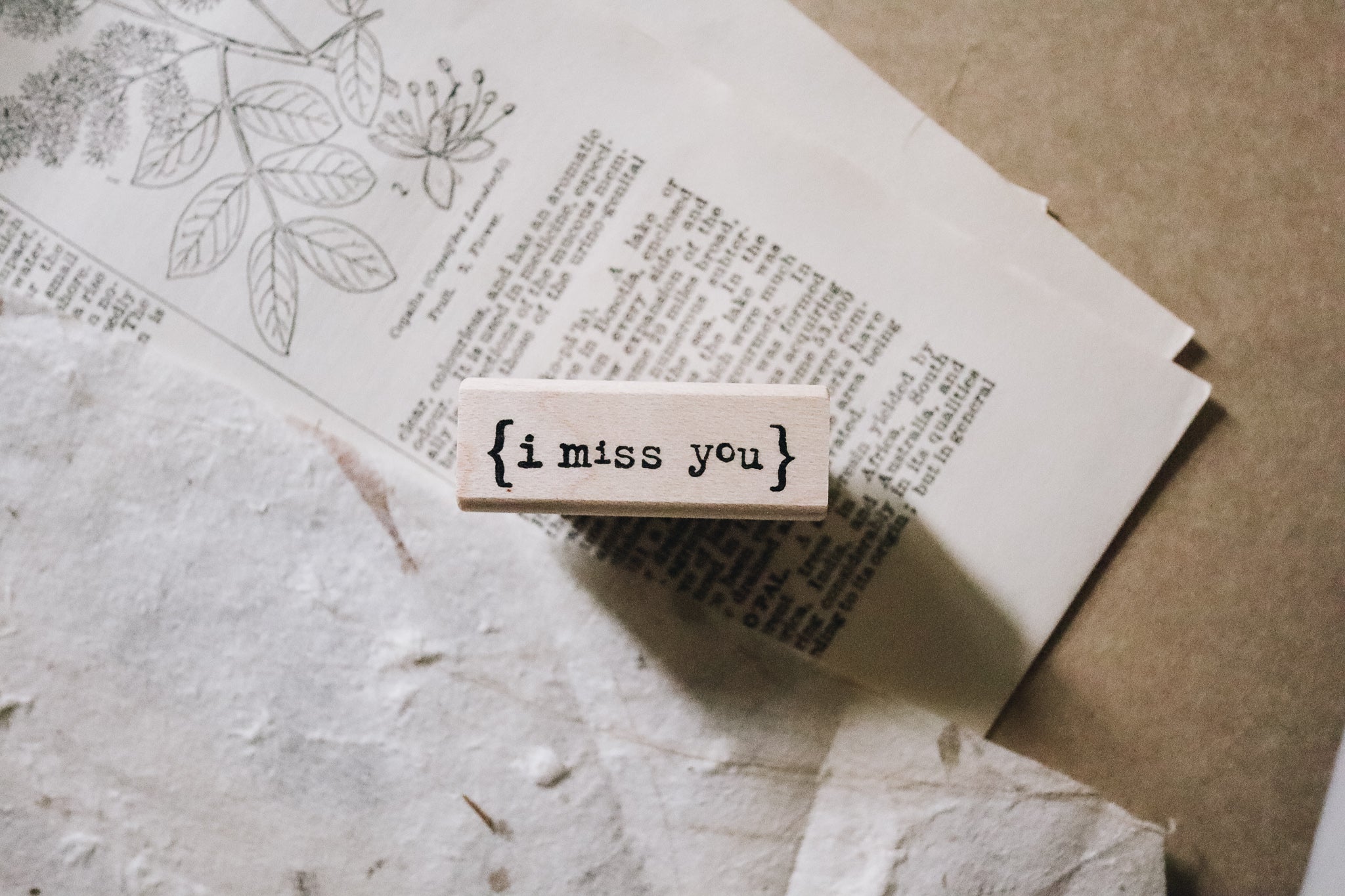 Catslife Press I Miss You Rubber Stamp - Smidapaper Ikigai Shop