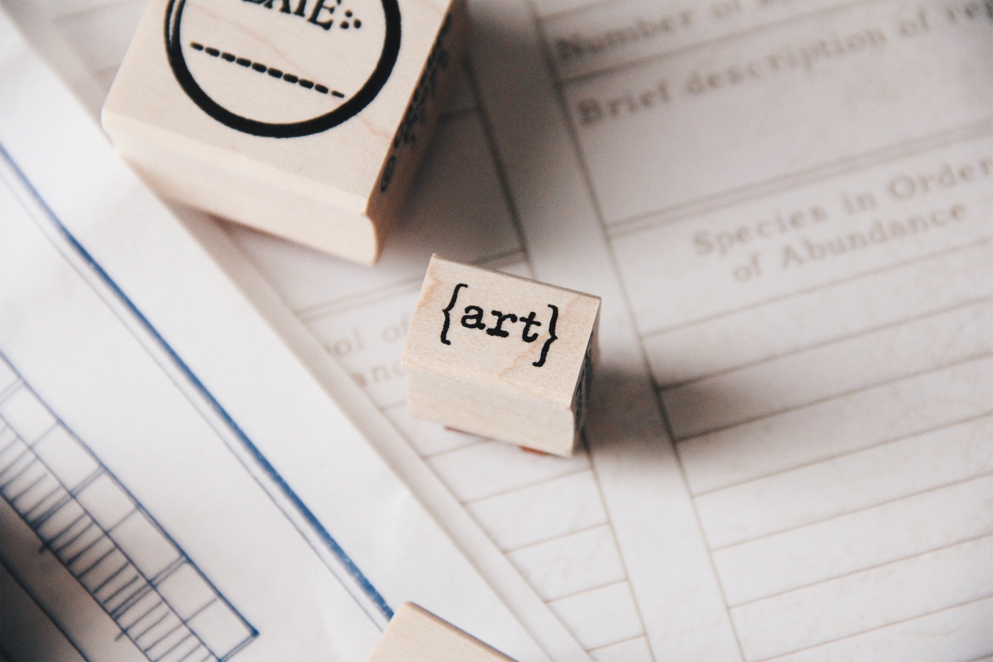 Catslife Press Art Rubber Stamp - Smidapaper Ikigai Shop